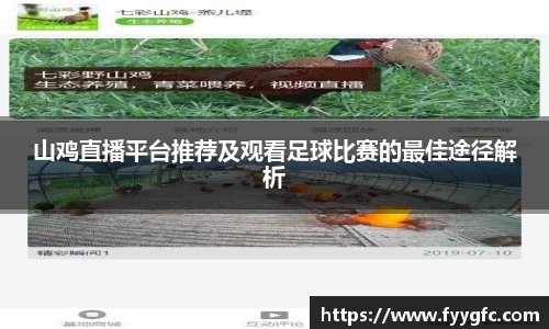 山鸡直播平台推荐及观看足球比赛的最佳途径解析